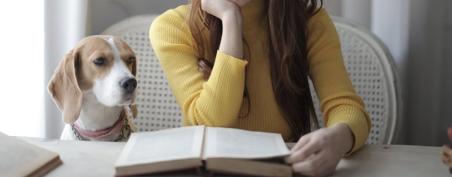 You Can Buy New Books About Pets