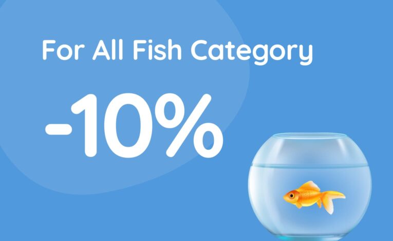 Sed facilisi aenean quis varius nunc neque